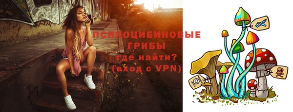 a pvp Верея